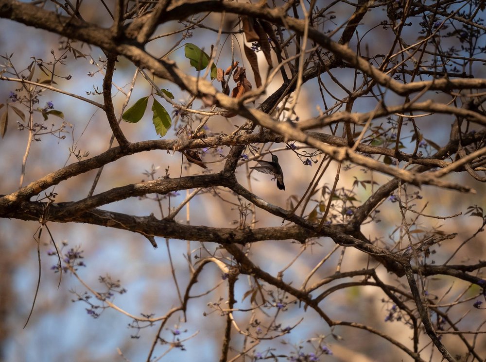 _8310203.jpg
