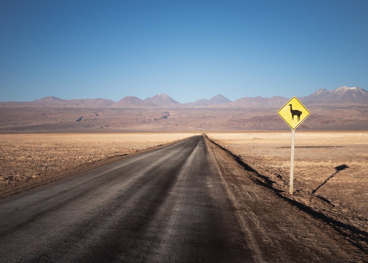 Tales of the Atacama Desert