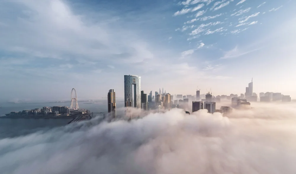 DJI_0971.jpg
