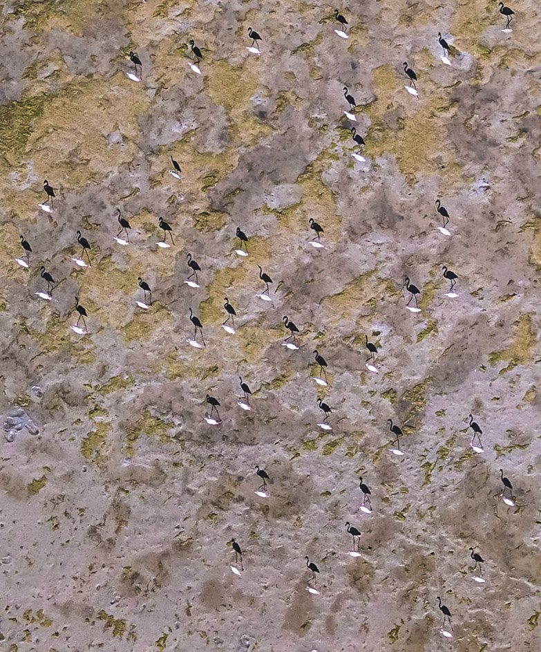 DJI_0794 copy.jpg