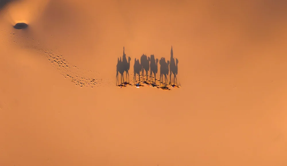 DJI_20230805200111_0345_D.jpg