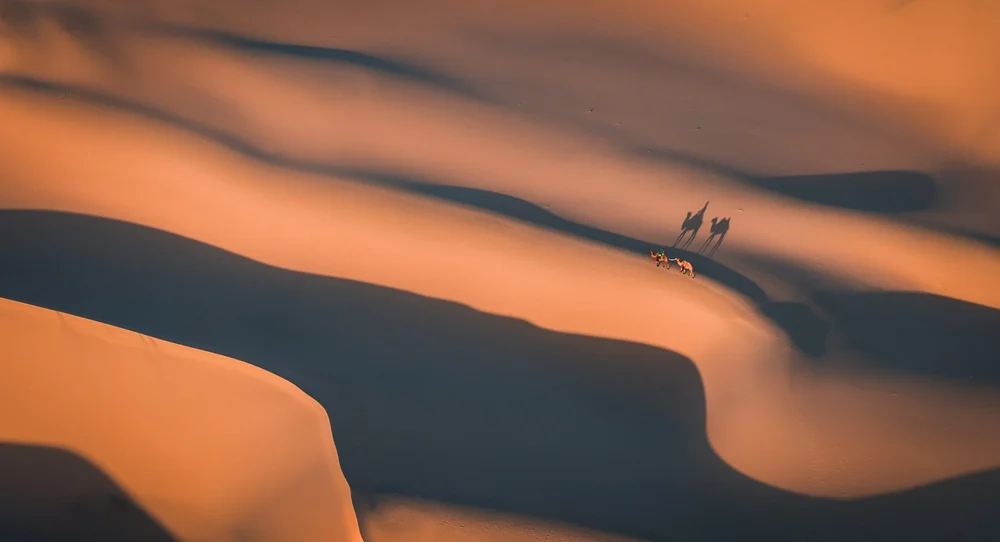 DJI_20230806063442_0390_D.jpg