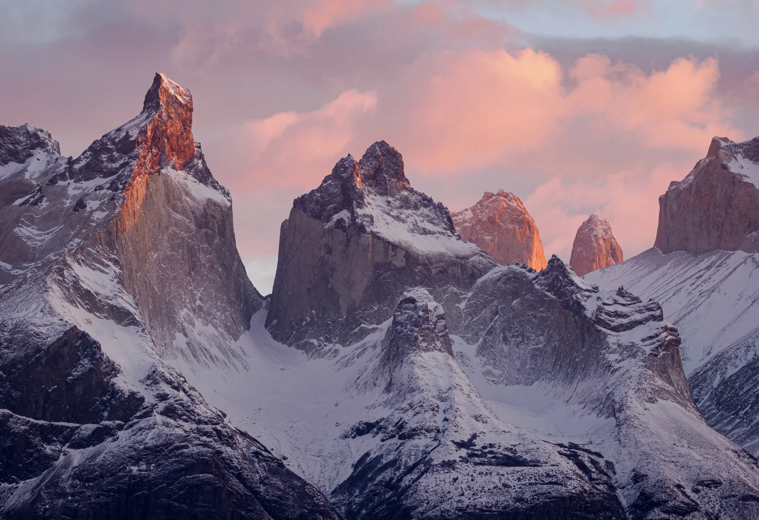 Patagonia - Pumas & Peaks