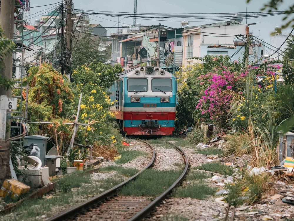 _OM11810.jpg