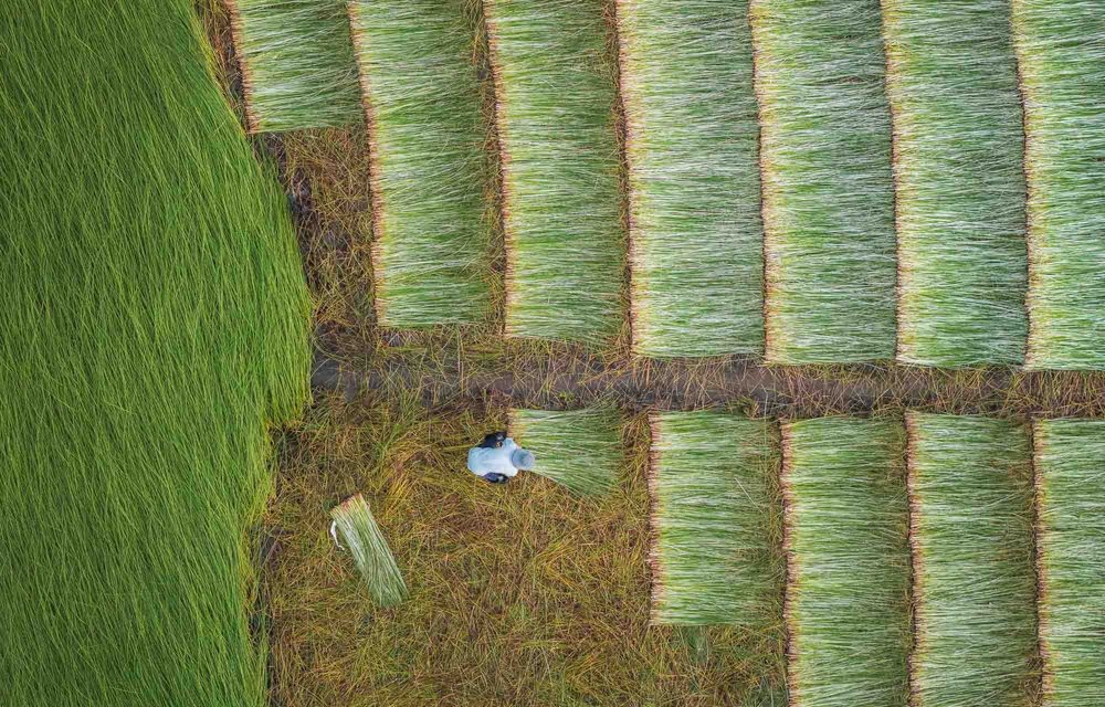 DJI_20240524083010_0299_D.jpg
