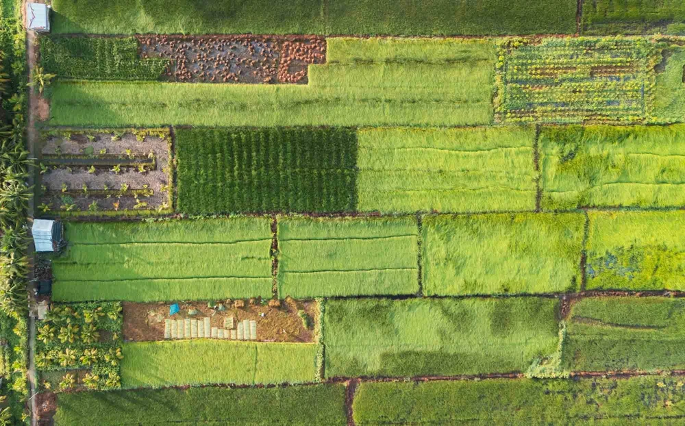 DJI_20240524080132_0225_D.jpg