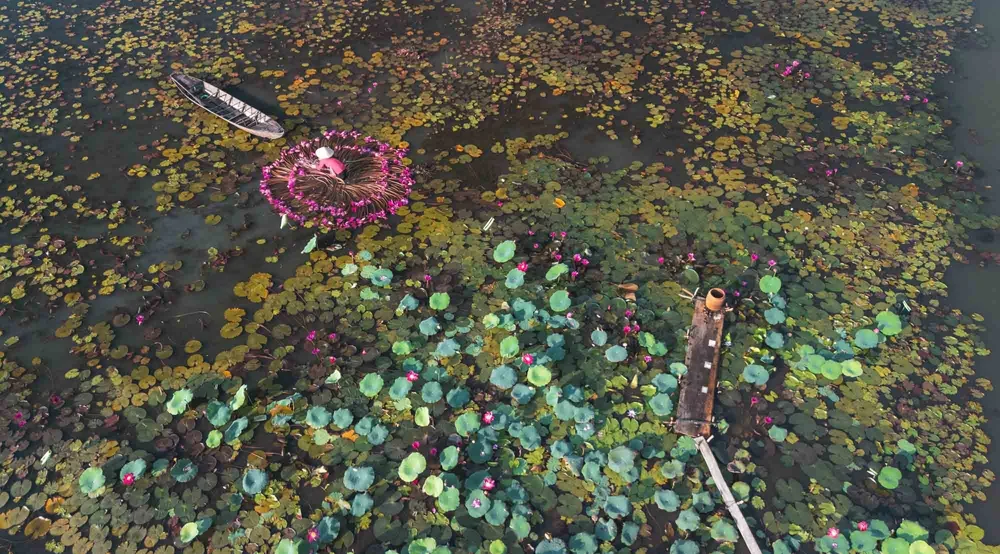 DJI_20240525083759_0564_D.jpg