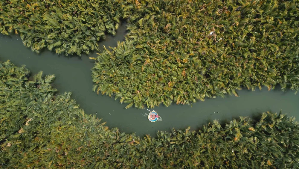 DJI_20240528142923_0677_D.jpg