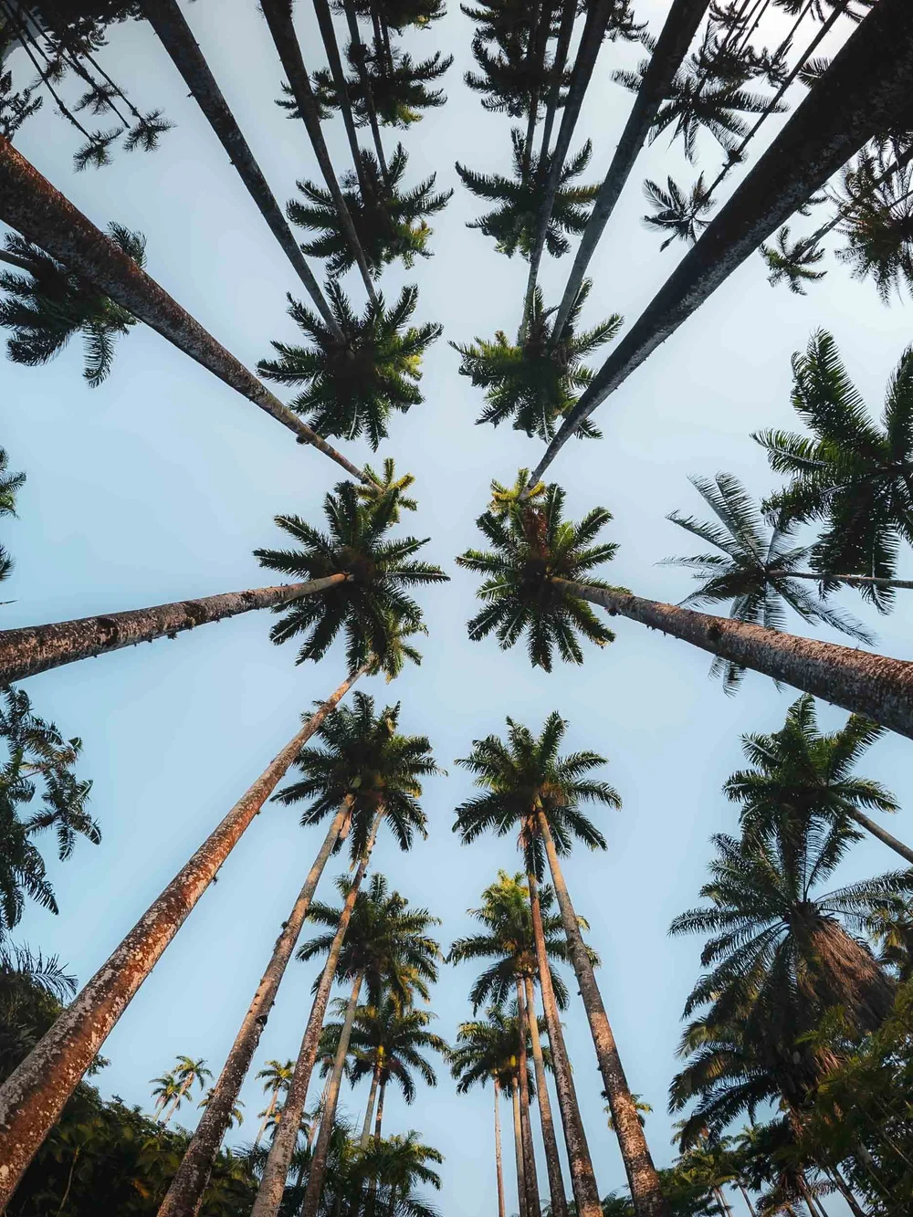 _OM11180.jpg