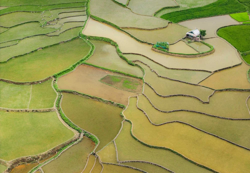 DJI_20240603133834_0426_D-2.jpg