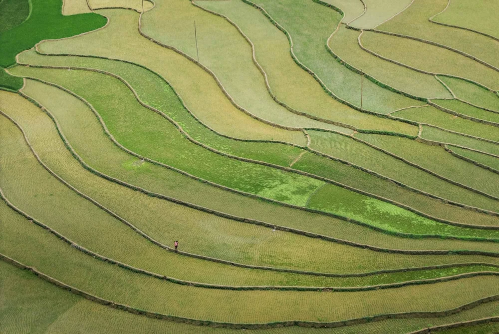 DJI_20240603133211_0400_D-2.jpg