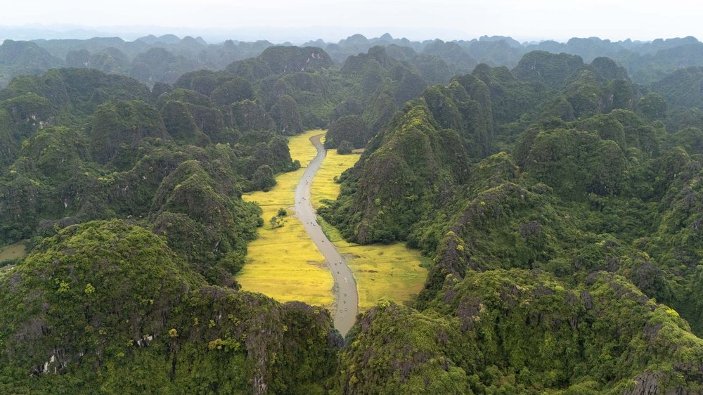 DJI_20240601152950_0020_D.jpg