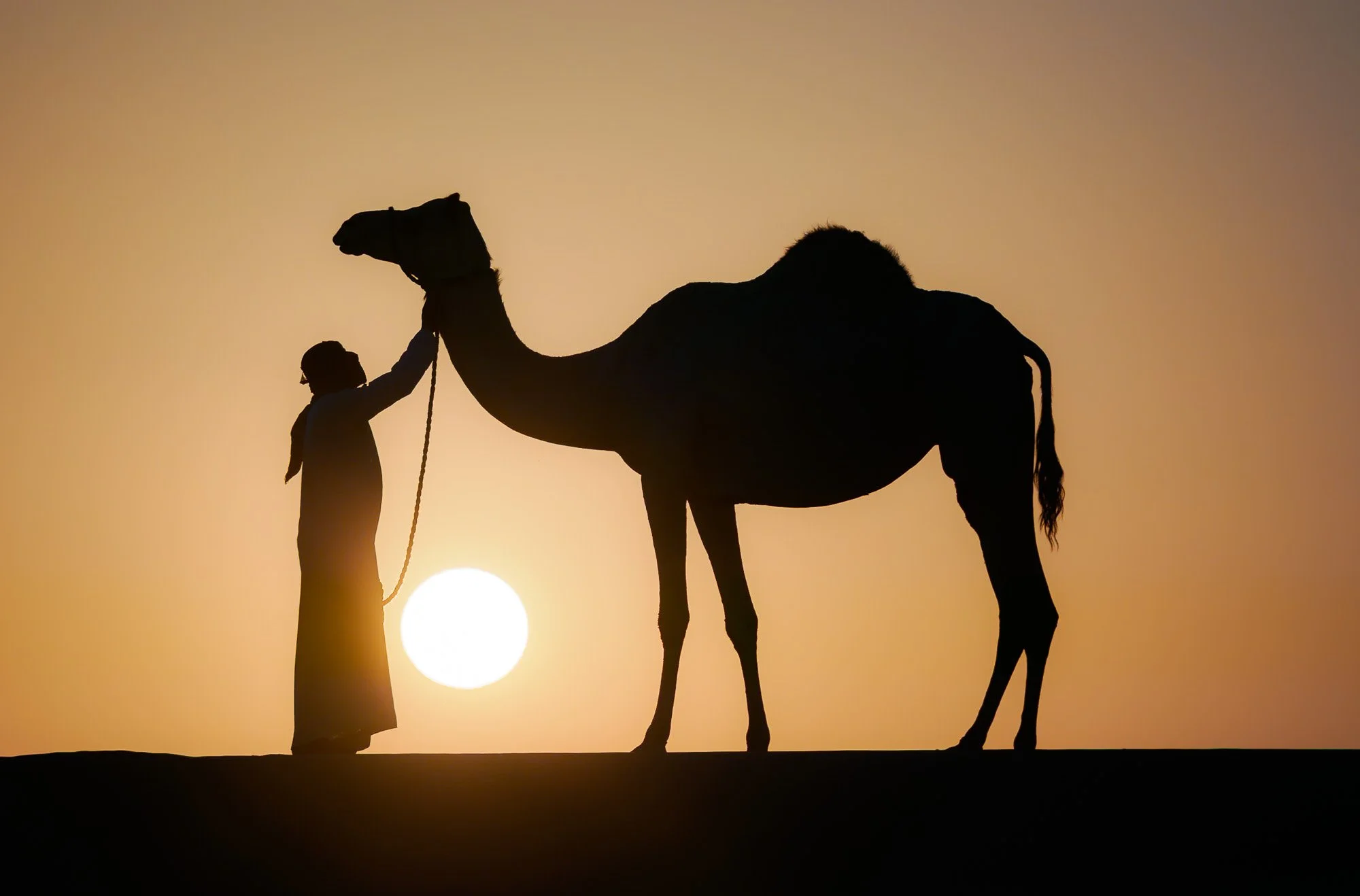  Everything Else 
 Bond 
A camel herder in the Liwa desert interacting with one of his animals during a winter sunset.