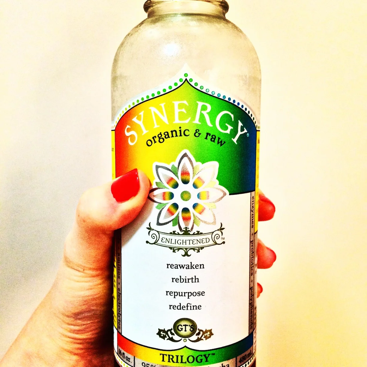 EATING BETWEEN THE LIES: KOMBUCHA, KIMCHI, AND KEFIR