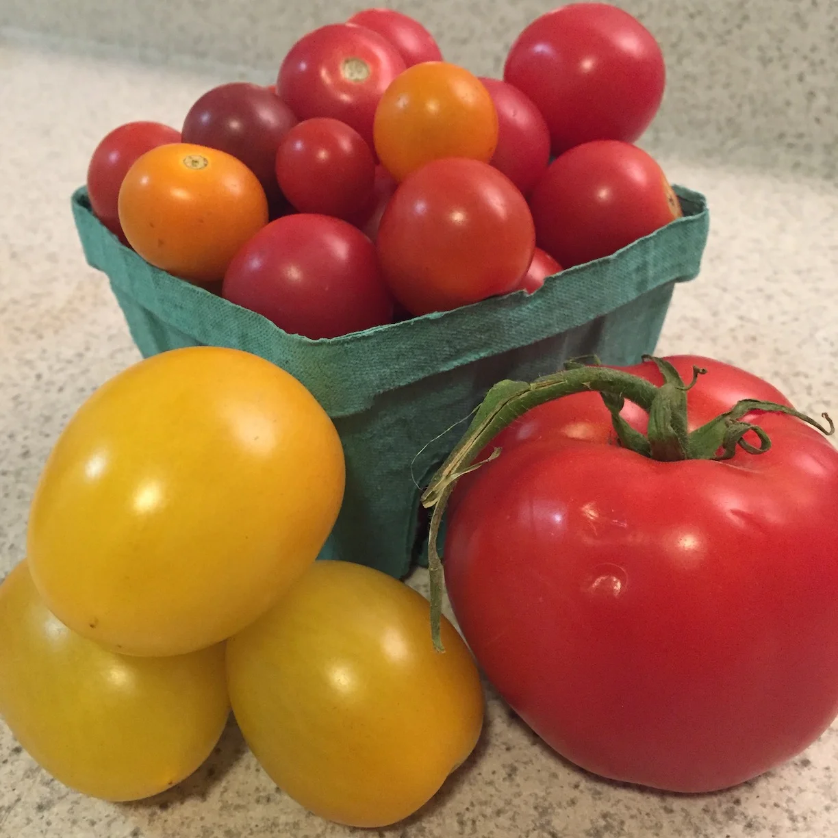 KITCHEN CURATIONS: SUMMER TOMATO SALAD