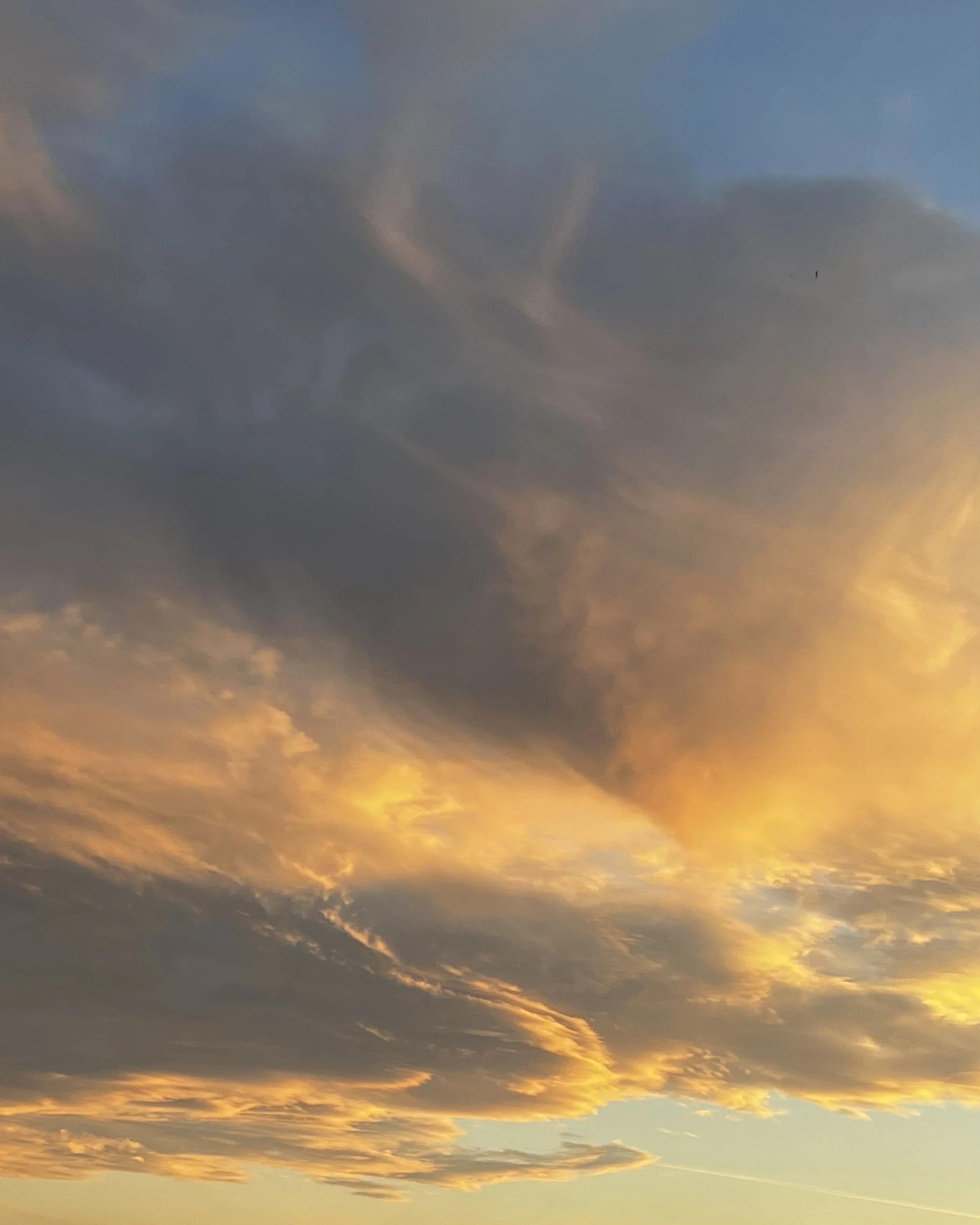 Florence Geens7.jpeg