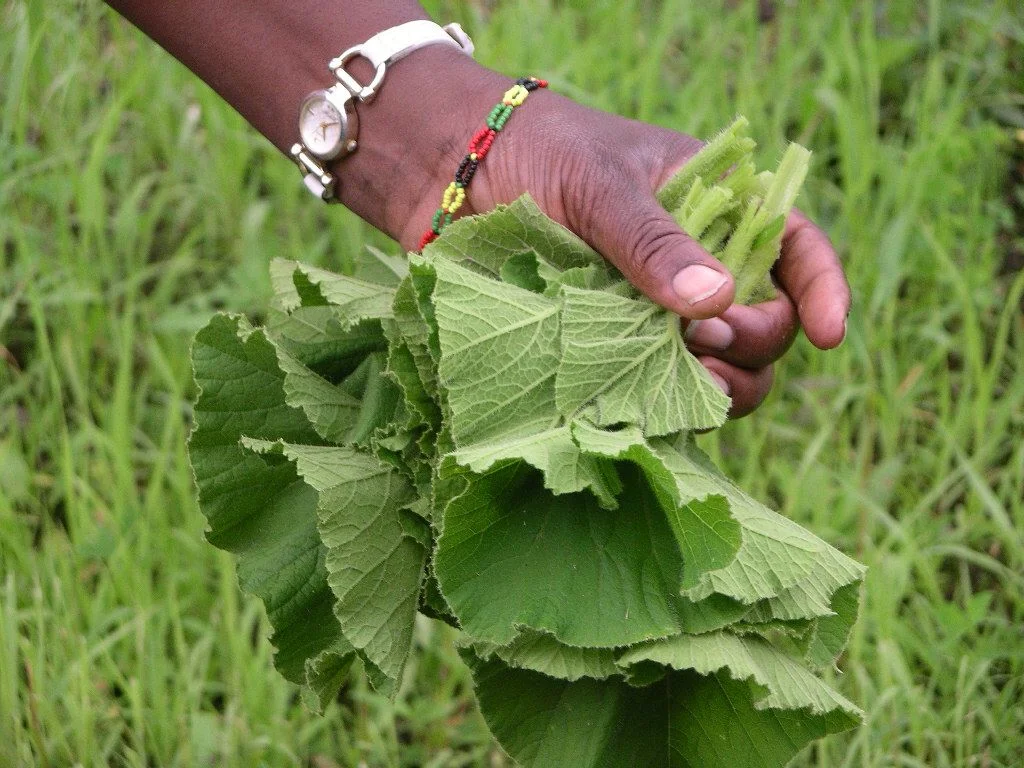 Farmers Lowell_radio.jpg