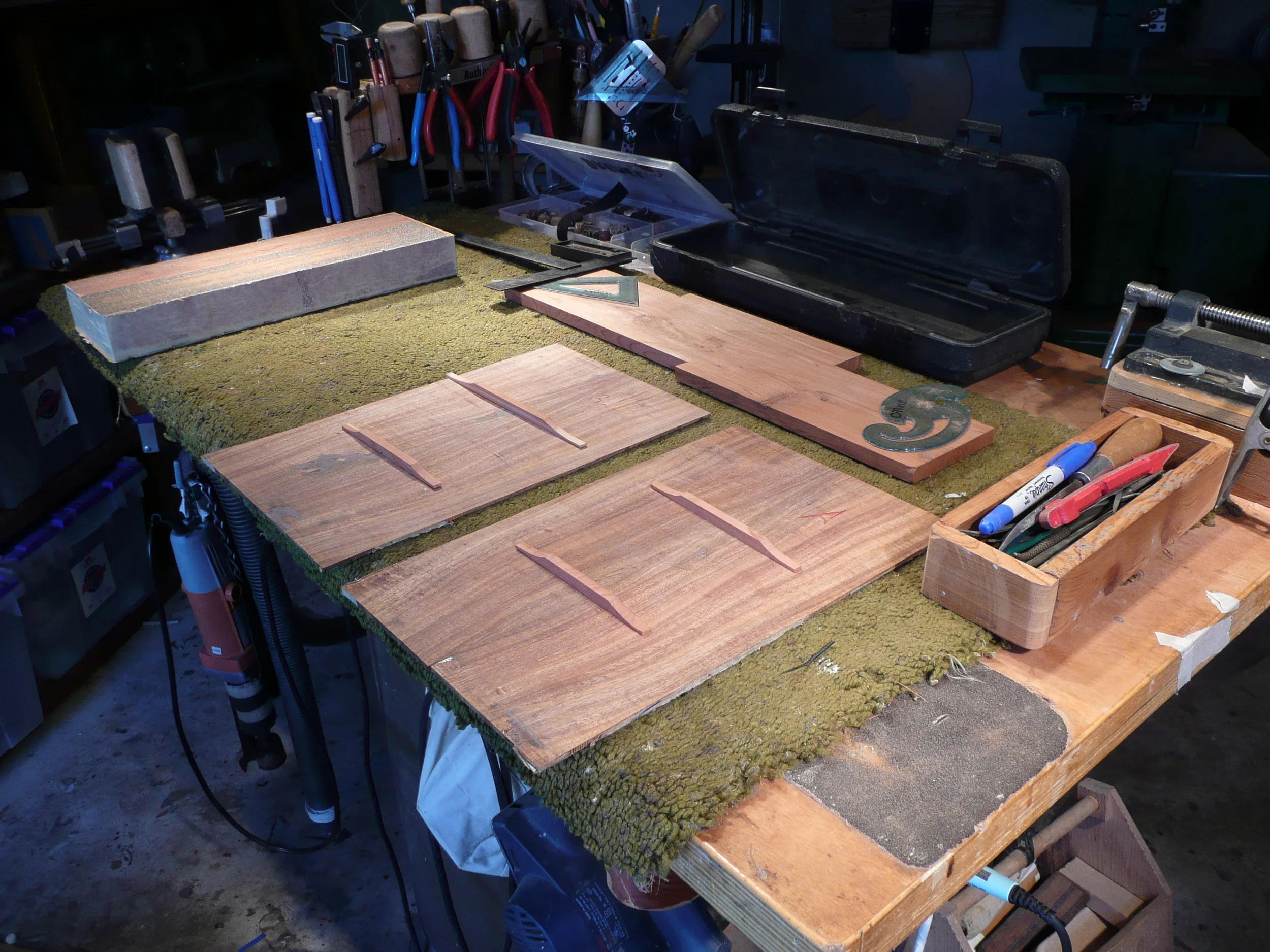  Braces are introduced - Redwood 