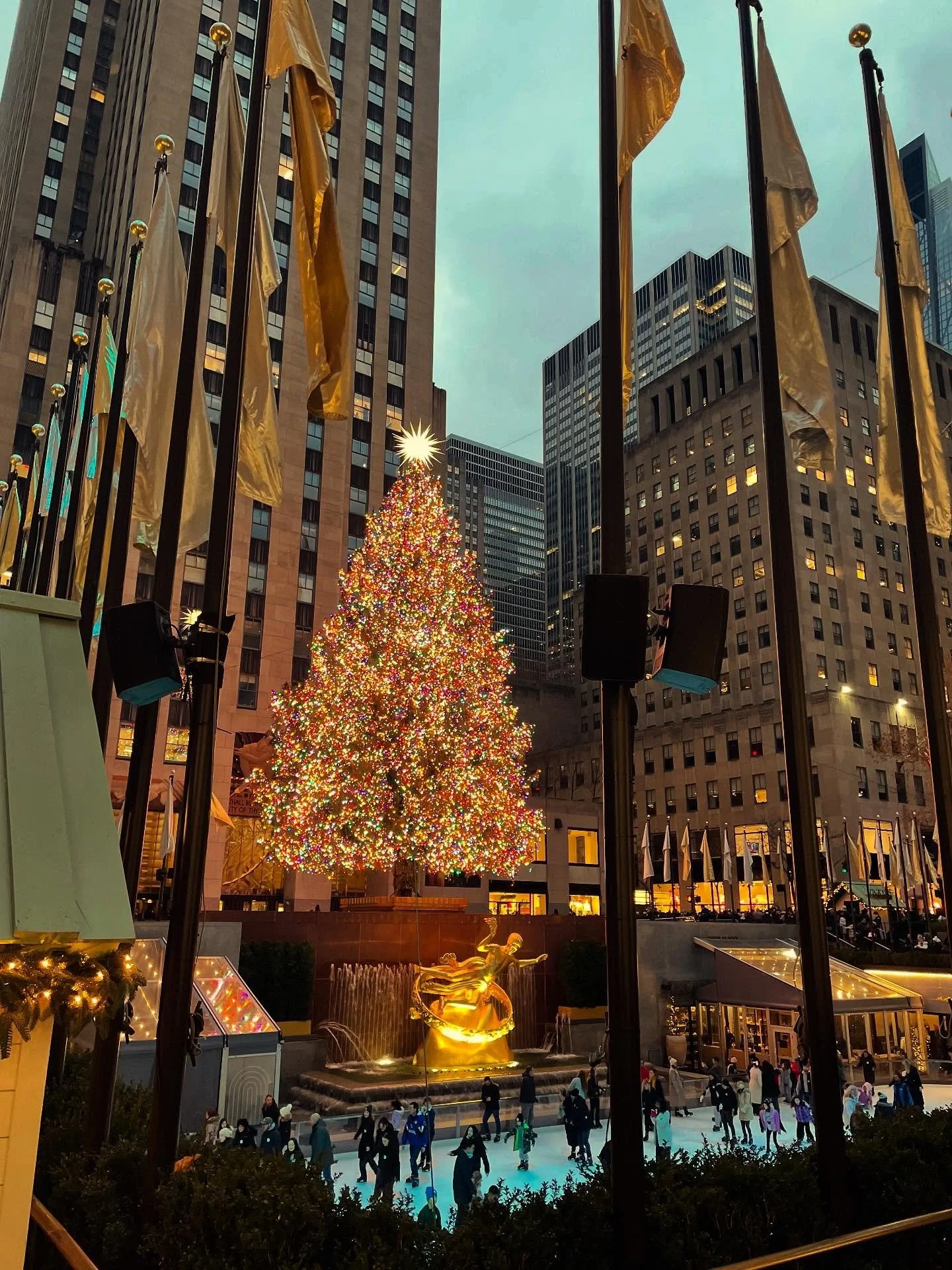 Merry Christmas from David, Bobby, Oed and Peter🎄🎁🕊️❤️💫