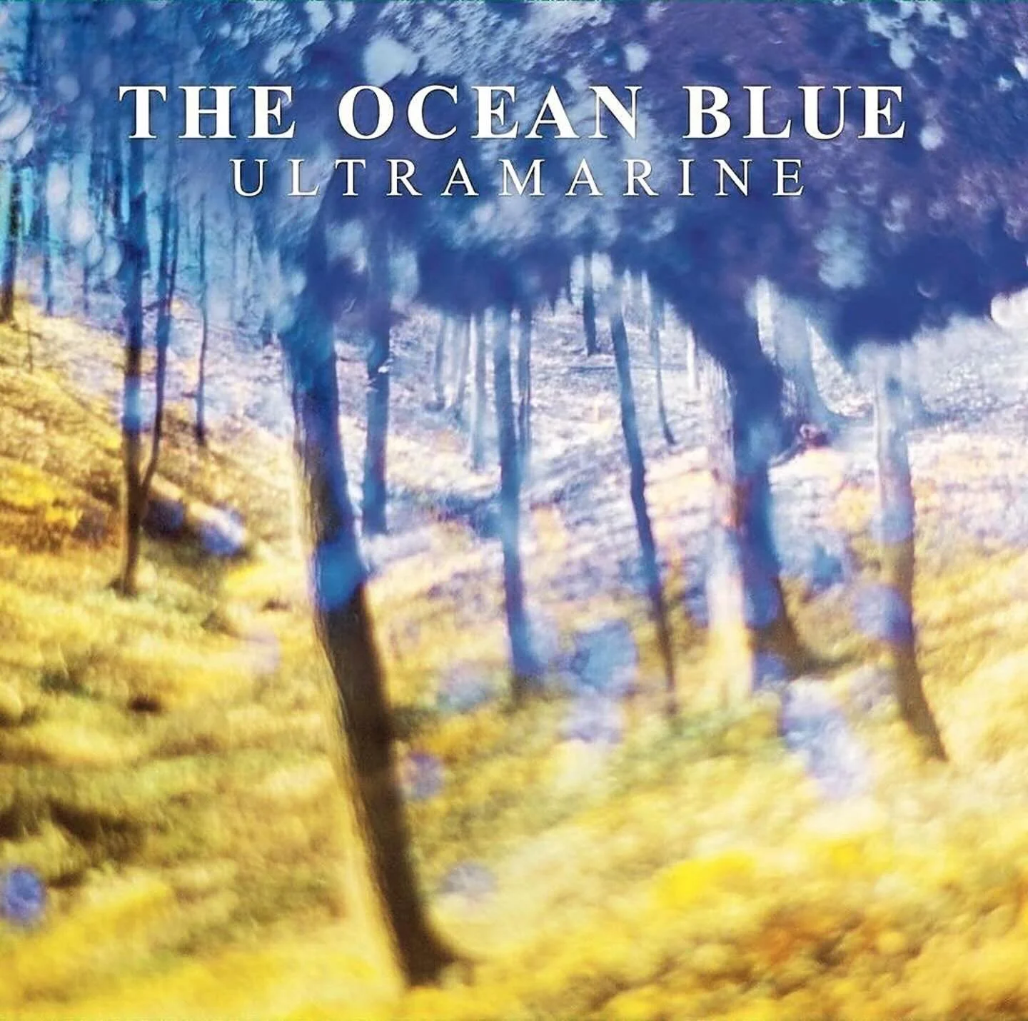 Happy Anniversary Ultramarine 💙💛