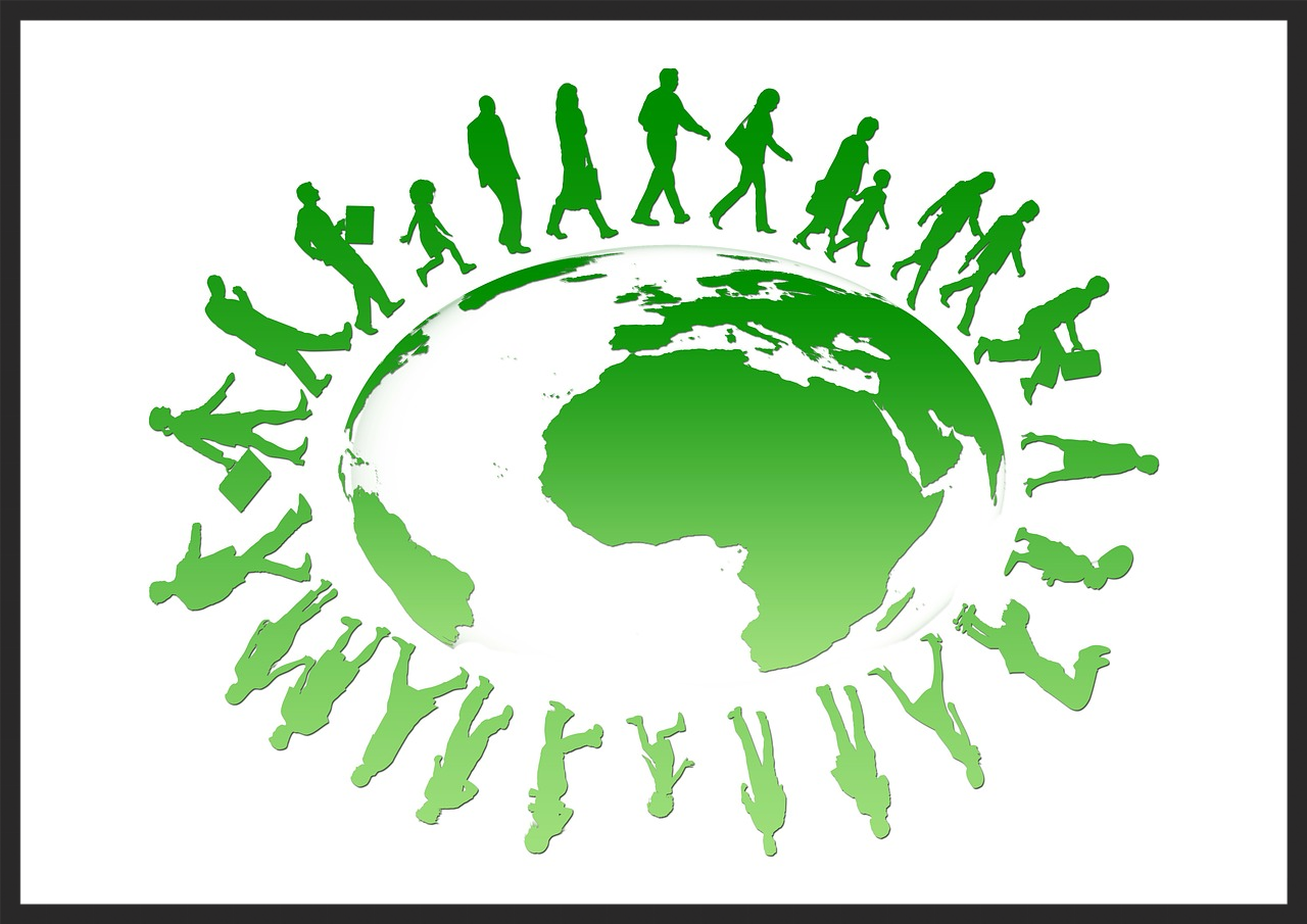 Econvalue Consult civil society research