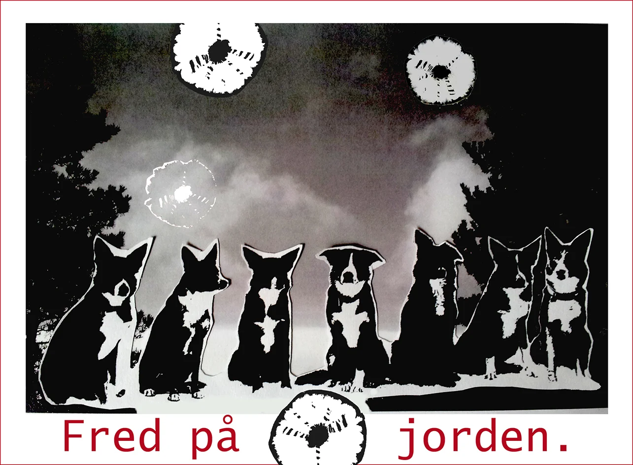 Fred på jorden.