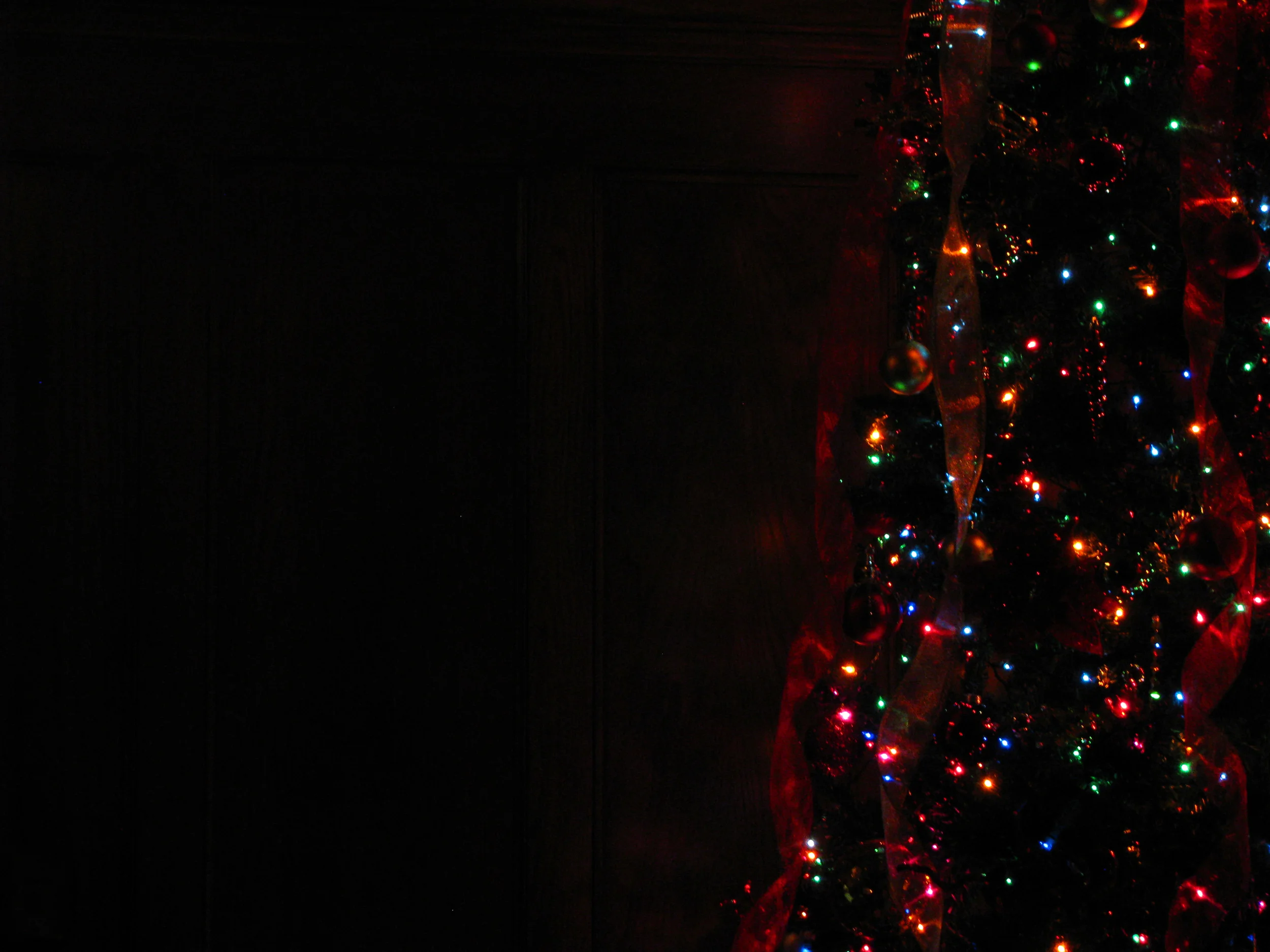 Dec1 154.jpg