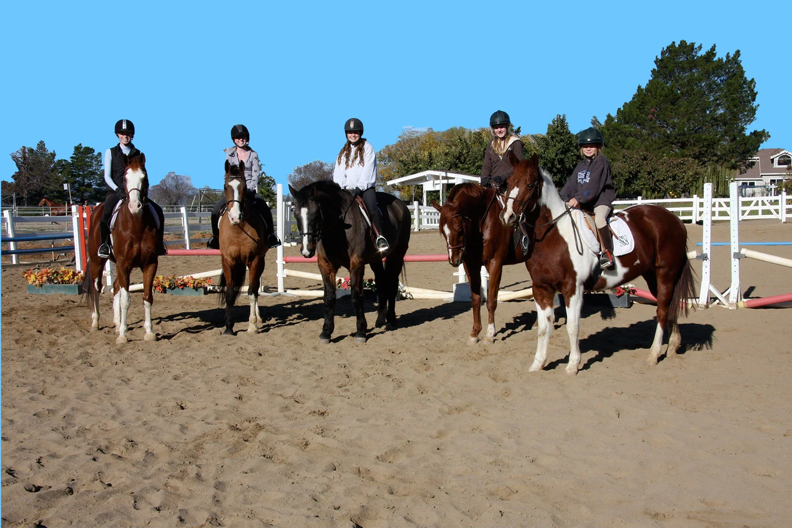 Riding-Lessons-image-102.jpg