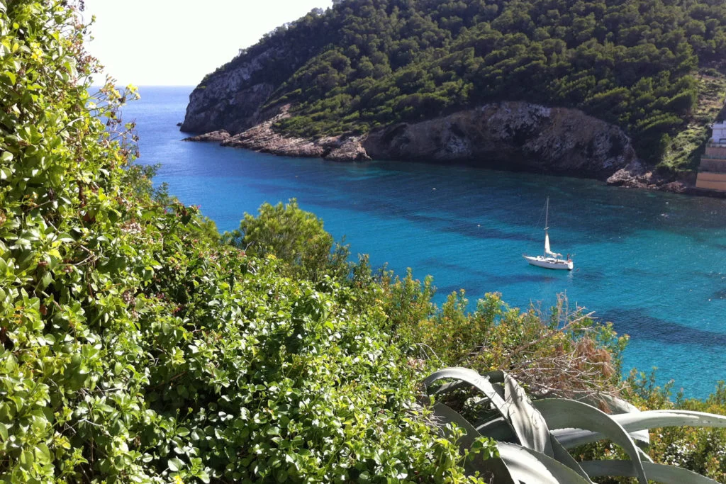 ibiza.jpg