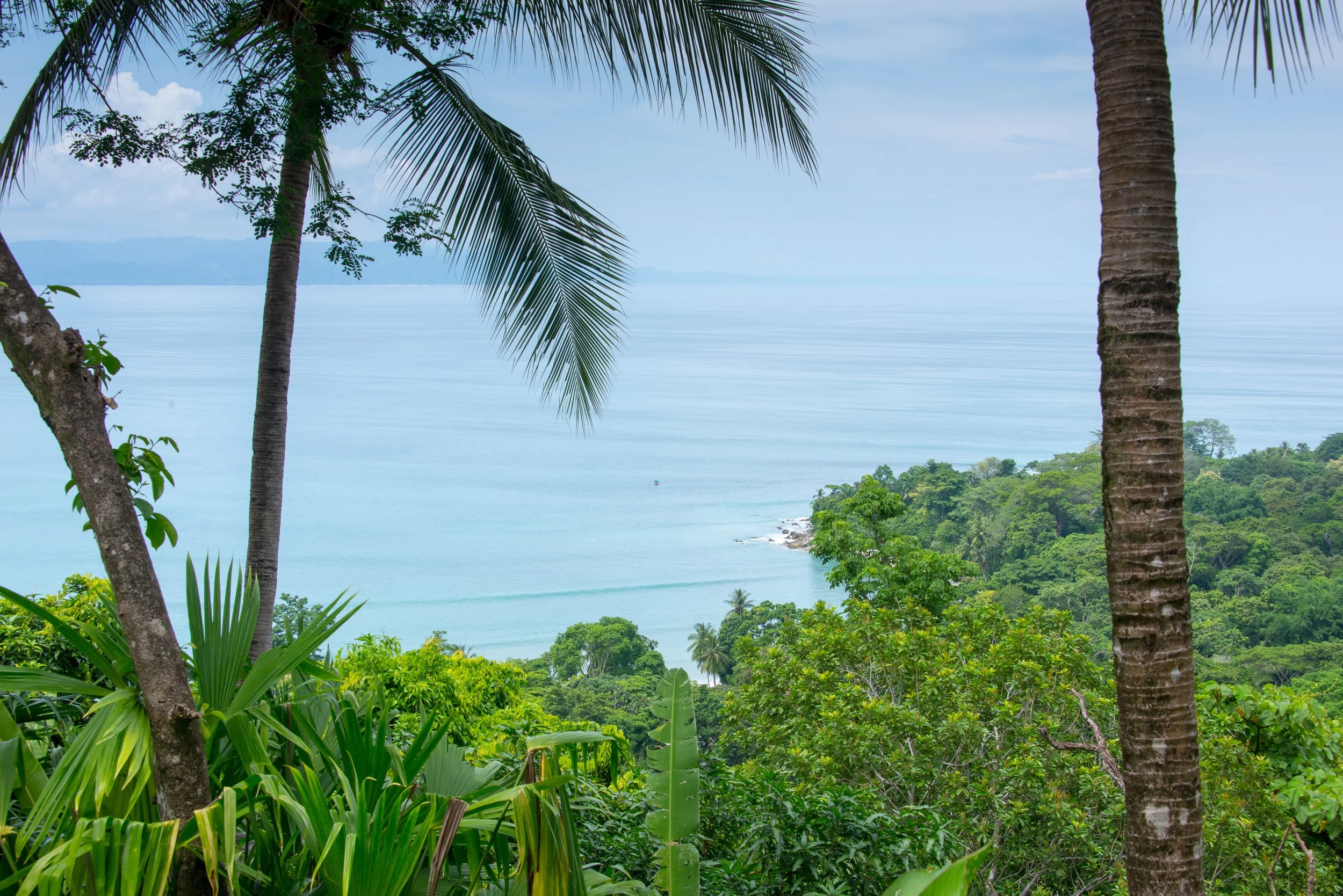 Costa Rica-54small-a.jpg