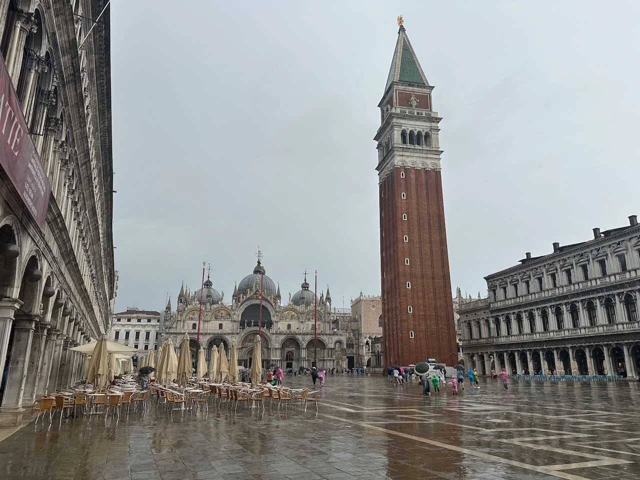 IMG_8846.jpeg
