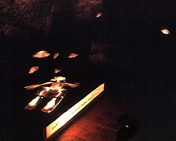 The New Man Is Learning To Swim (detail) 1996 Dominic Centrum, Plzeň , Czech Republic Altered x-rays, dead fish, lights, tar paper, text in medieval cellar