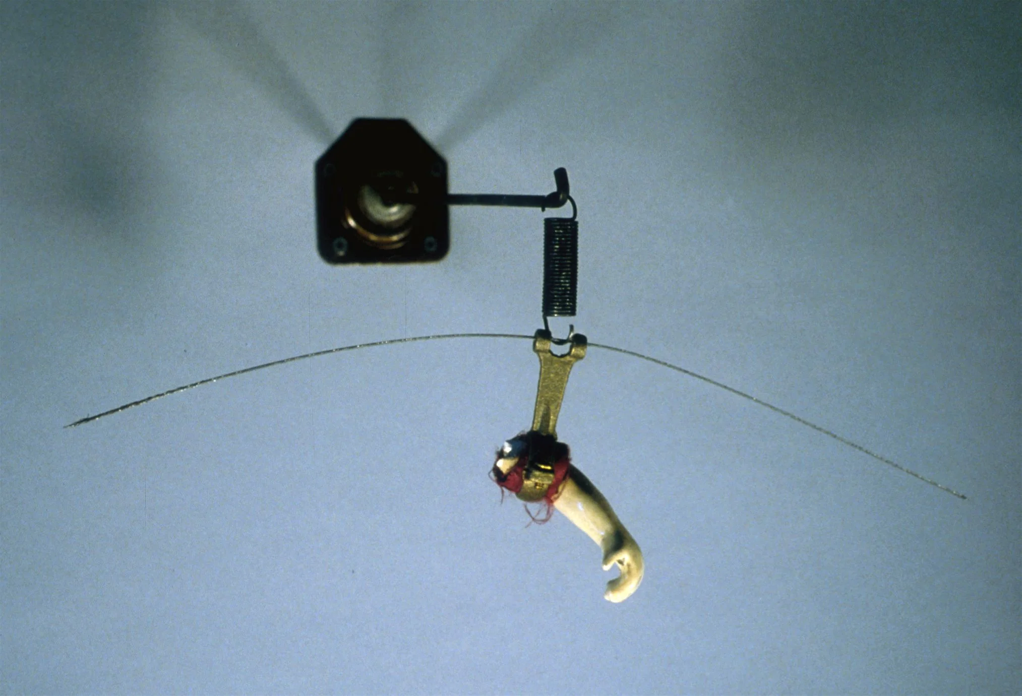 Dedalus 2000 Ceramic doll arm, velvet, spring, steel cable, hardware. 7" h x 12" w x 8" d Collection of Honolulu Museum of Art Spalding House (formerly The Contemporary Museum Hawai'i)