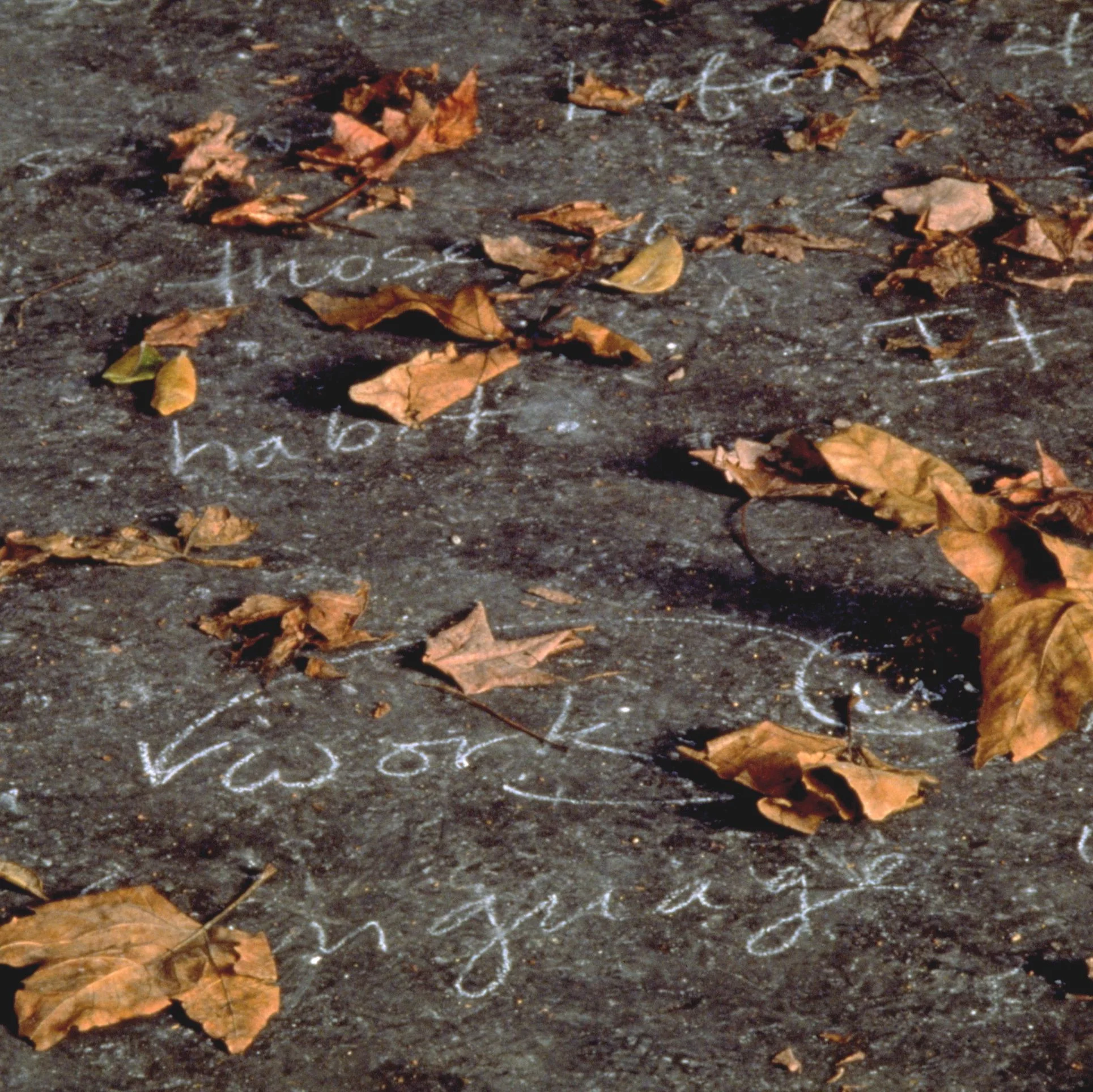 Even If Such An Object 7.jpg