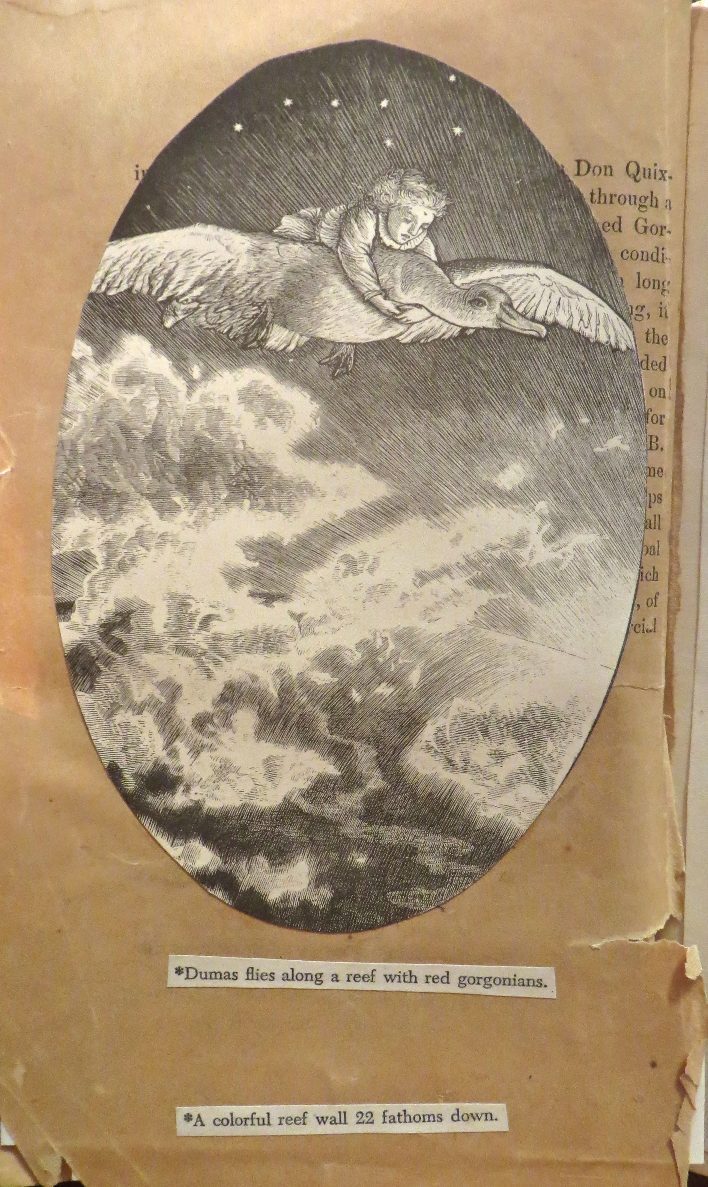  Page 35 