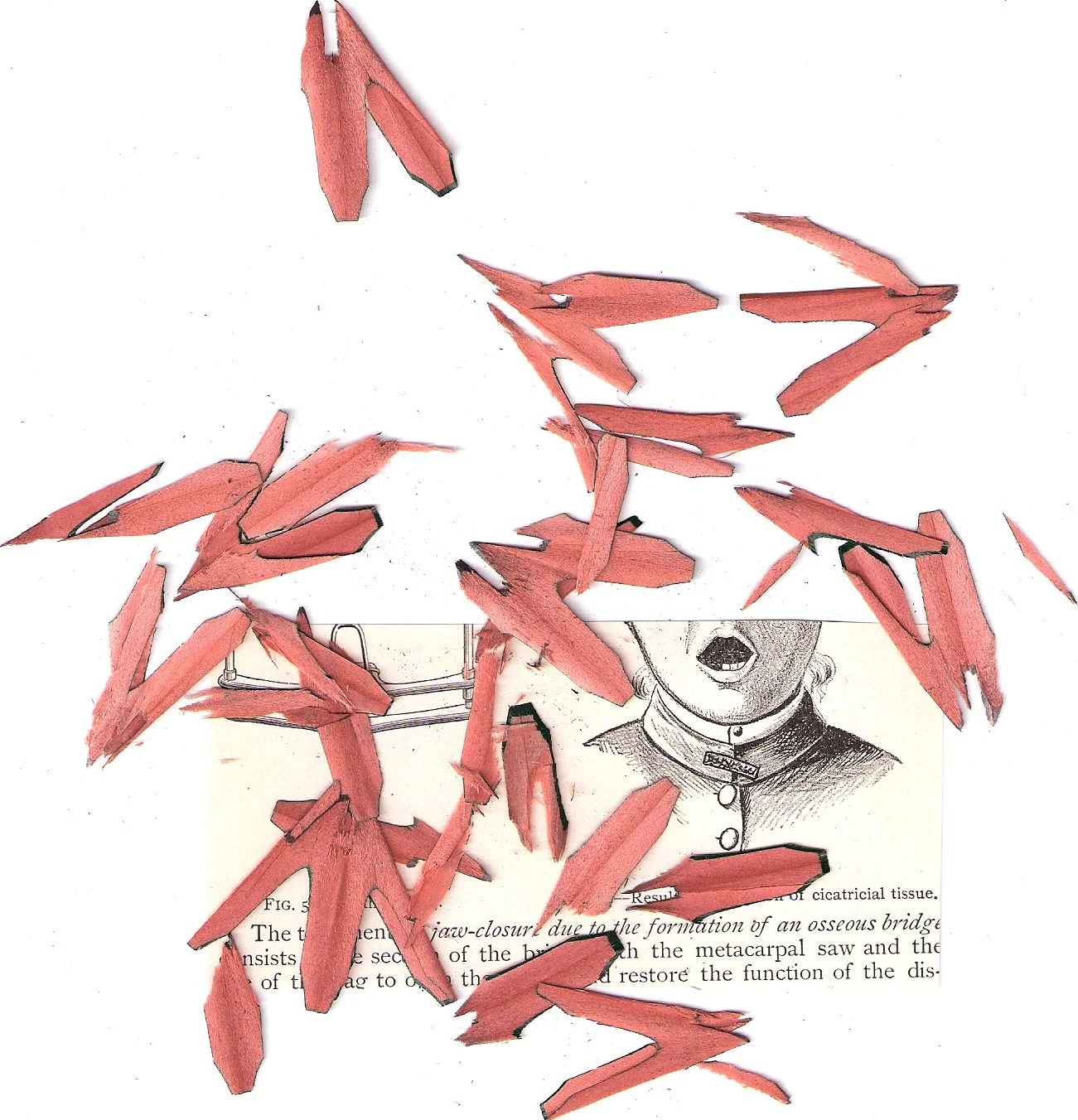  Shavings 4 