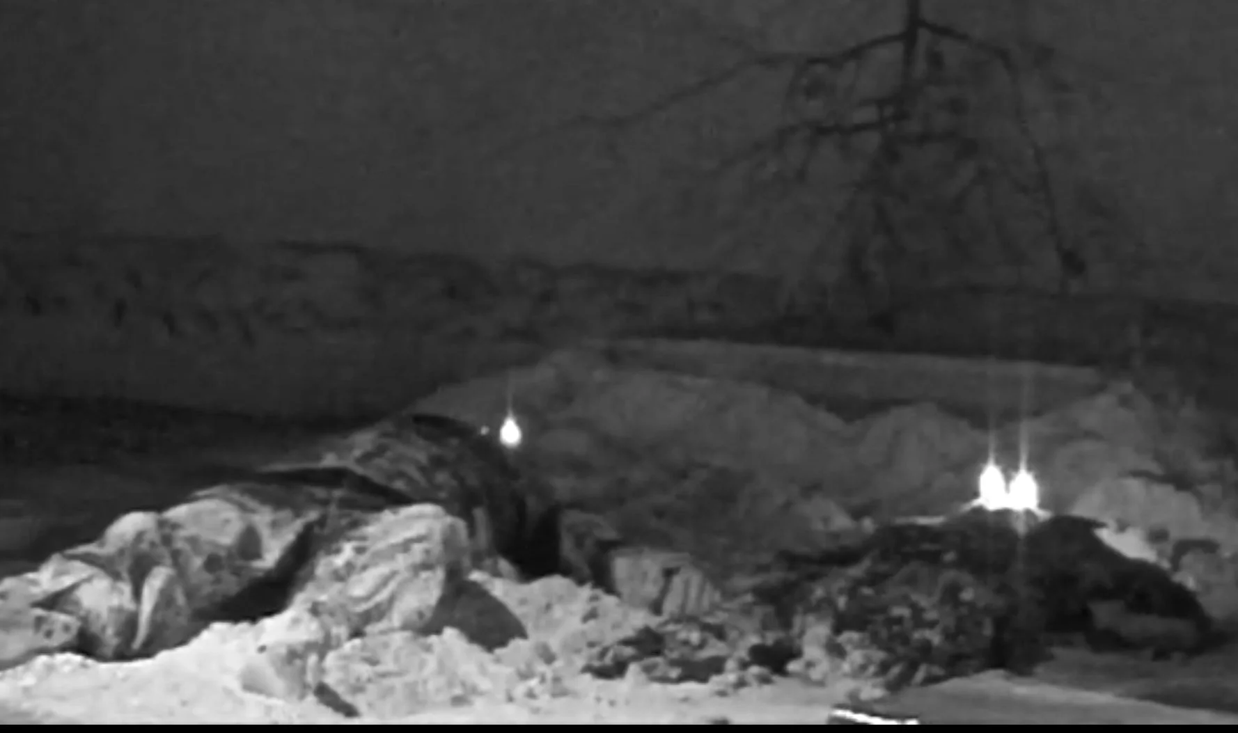 Last Voyage of the Body - 22.jpg