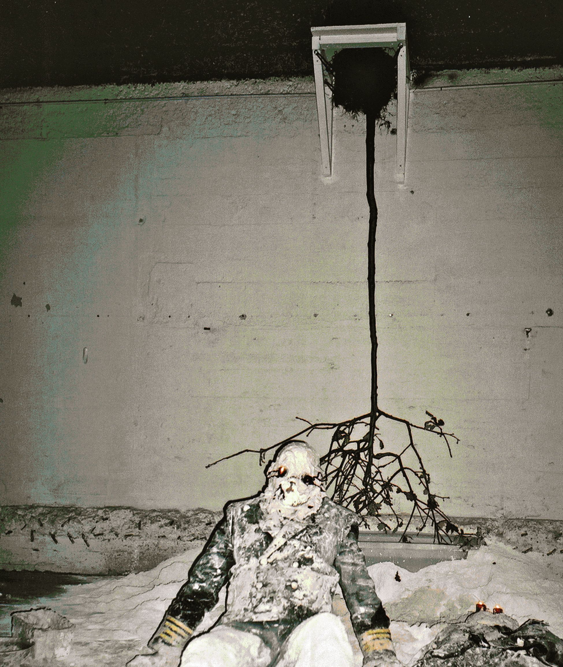  Day Two begins with me breaking free of dried plaster grave. 