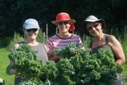 Happy Rumford Kale Harvesters