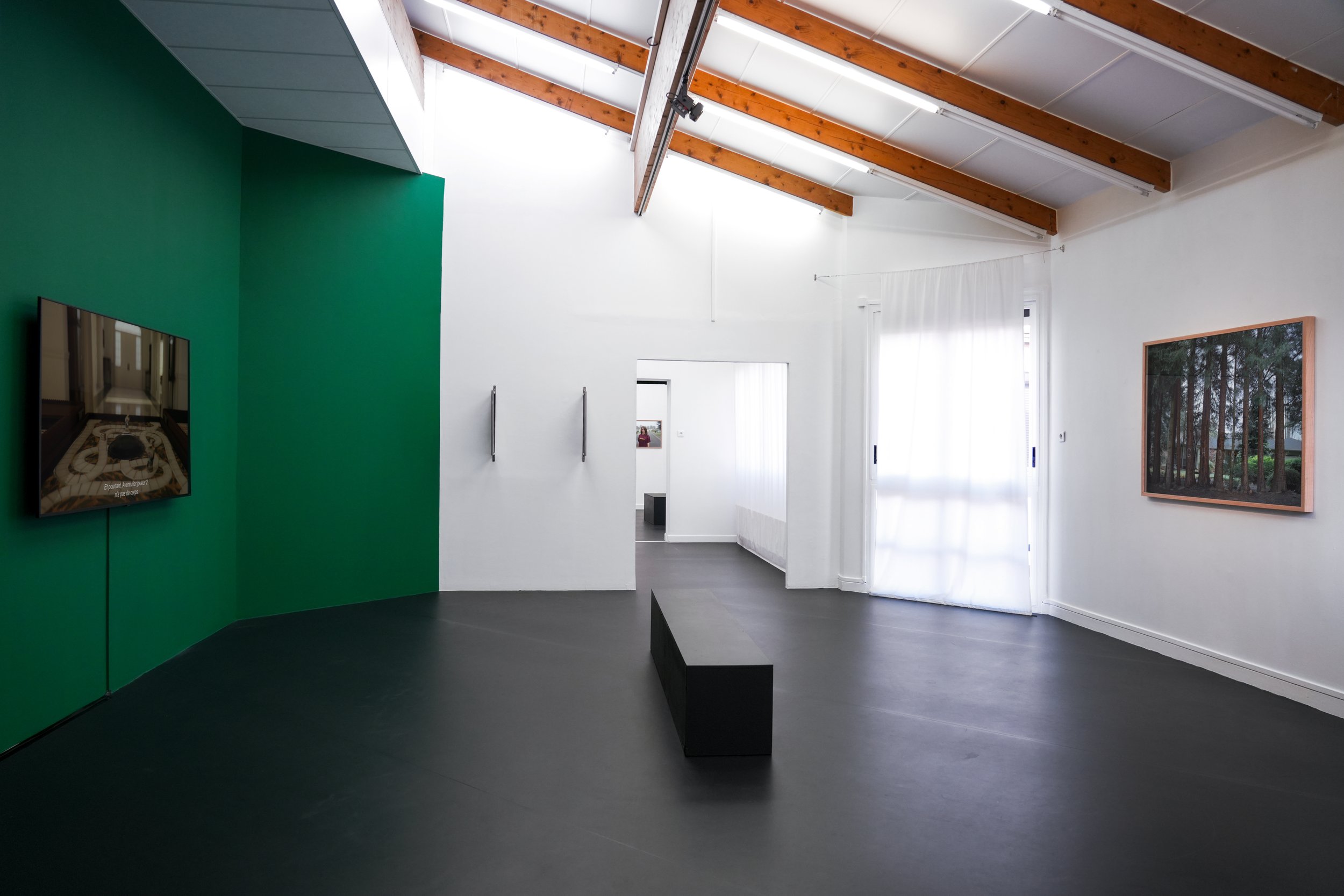 ✔Exposition Practical Magic_Nelson Bourrec Carter_crédit Ambre Masson (3).jpg