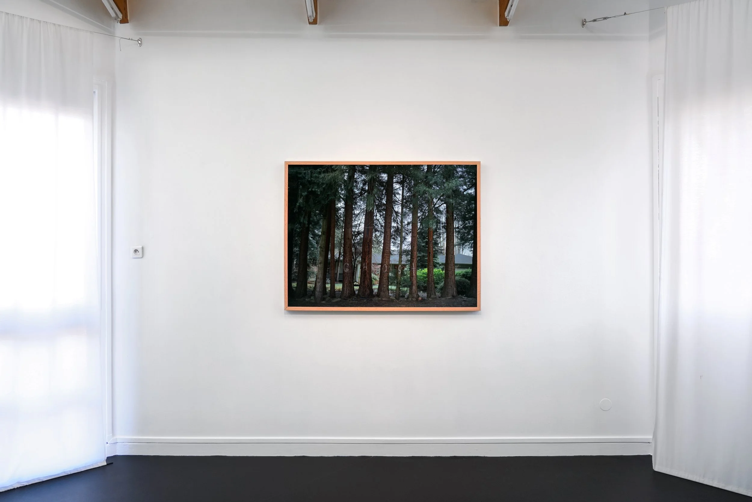 ✔Exposition Practical Magic_Nelson Bourrec Carter_crédit Ambre Masson (24).jpg