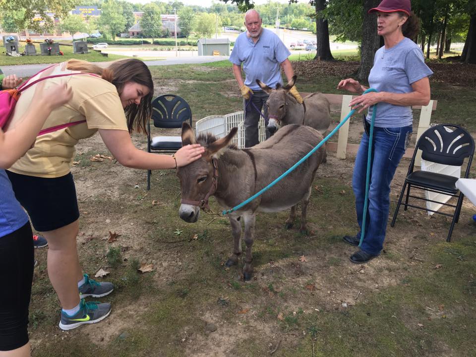 Blessing of the Animals