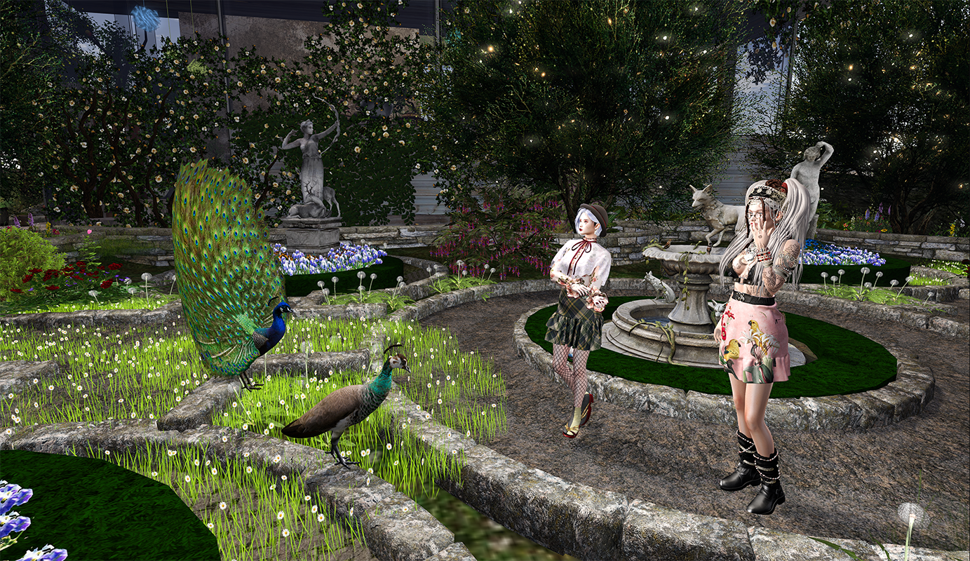 Admiring the peacocks in the Formal Garden