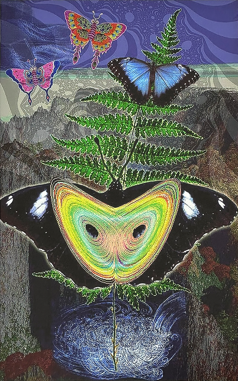 Butterfly