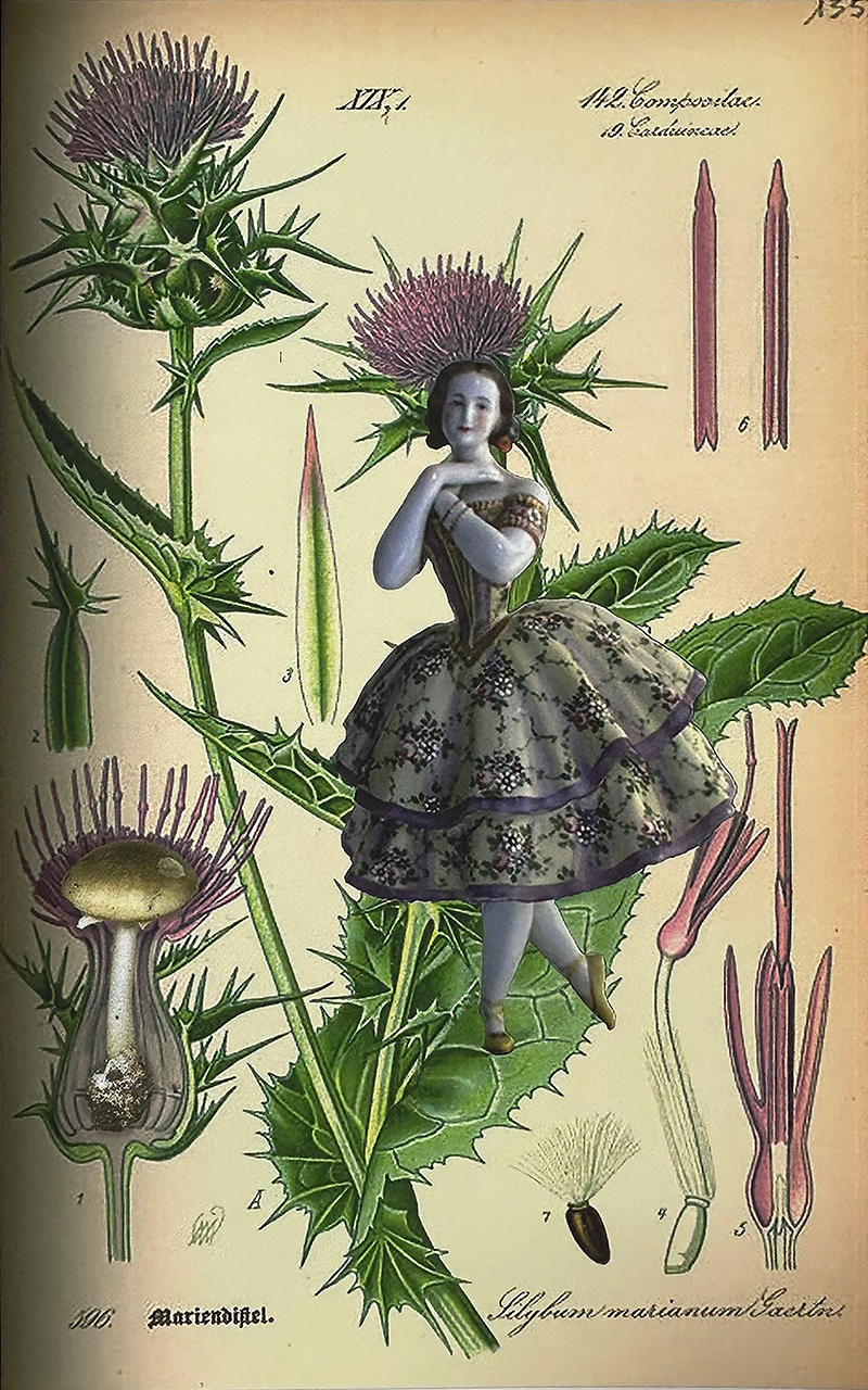 Fairy Dancer
