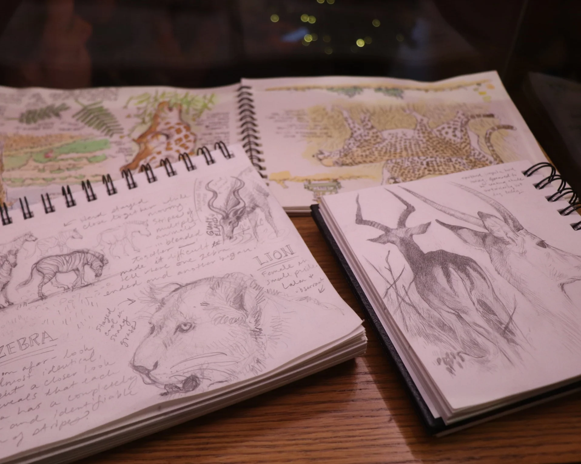 A peek at some travel journals.
