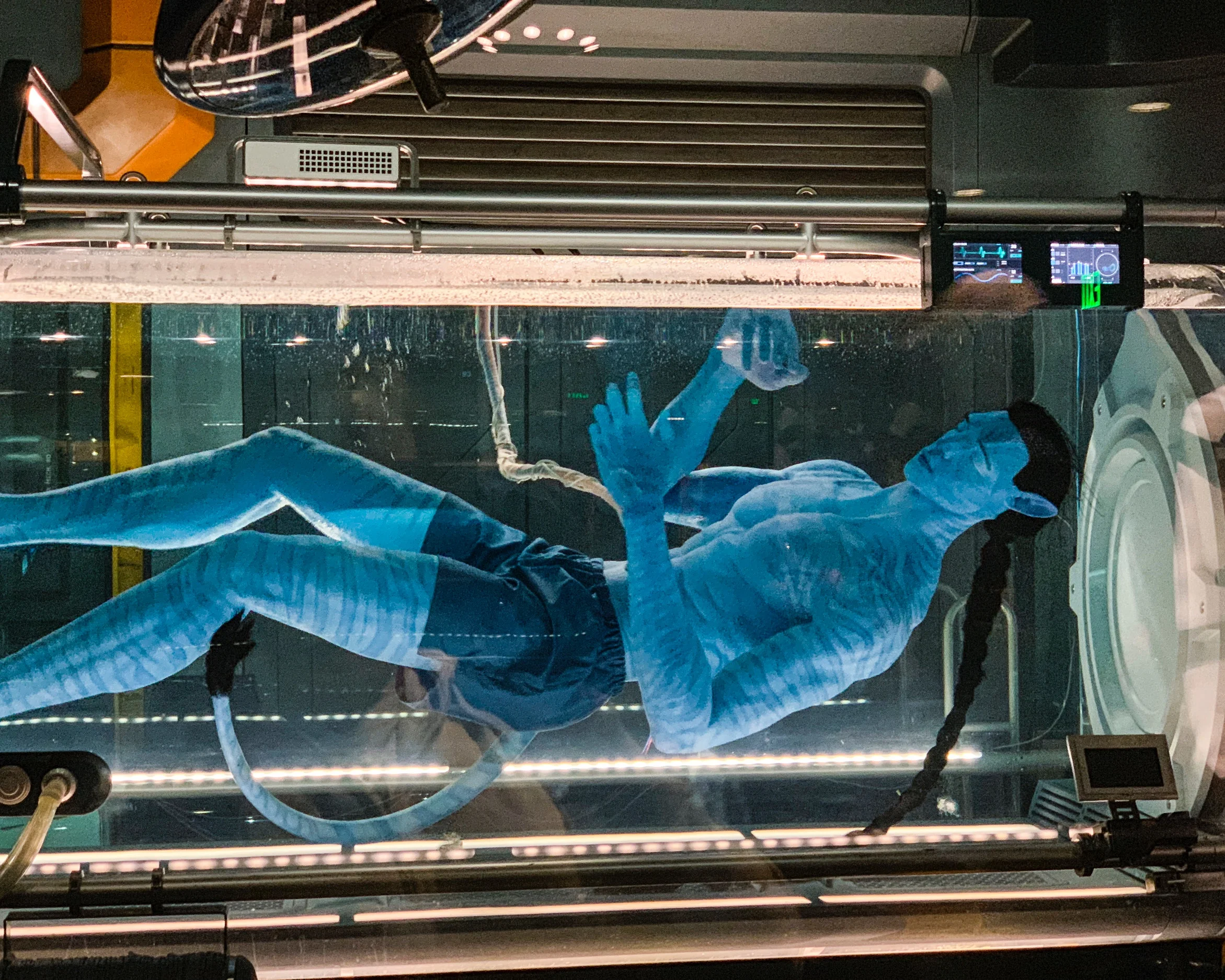 An Avatar on display.
