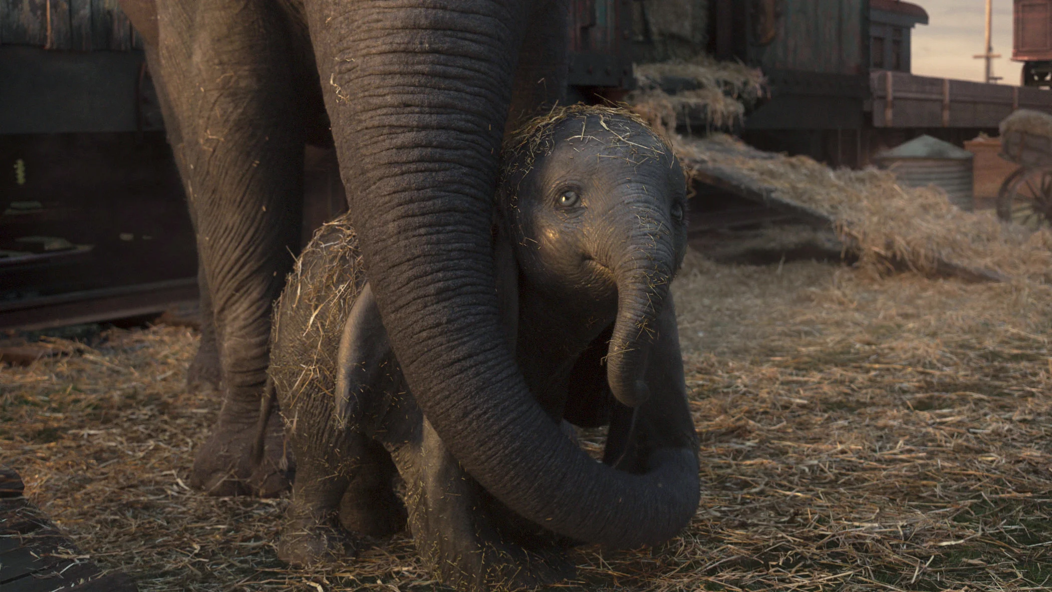 Lille Dumbo with his mama Mrs. Jumbo. How flippin’ cute right?