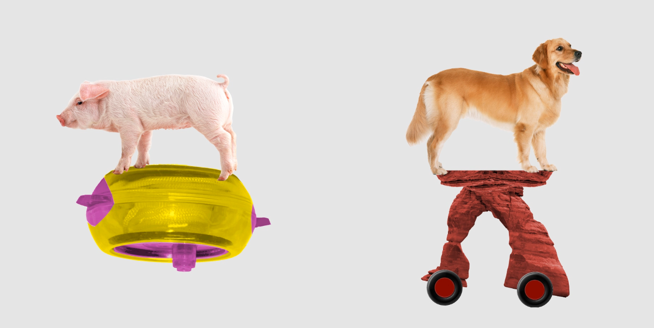 Vois-tu le chien sur le soodel?