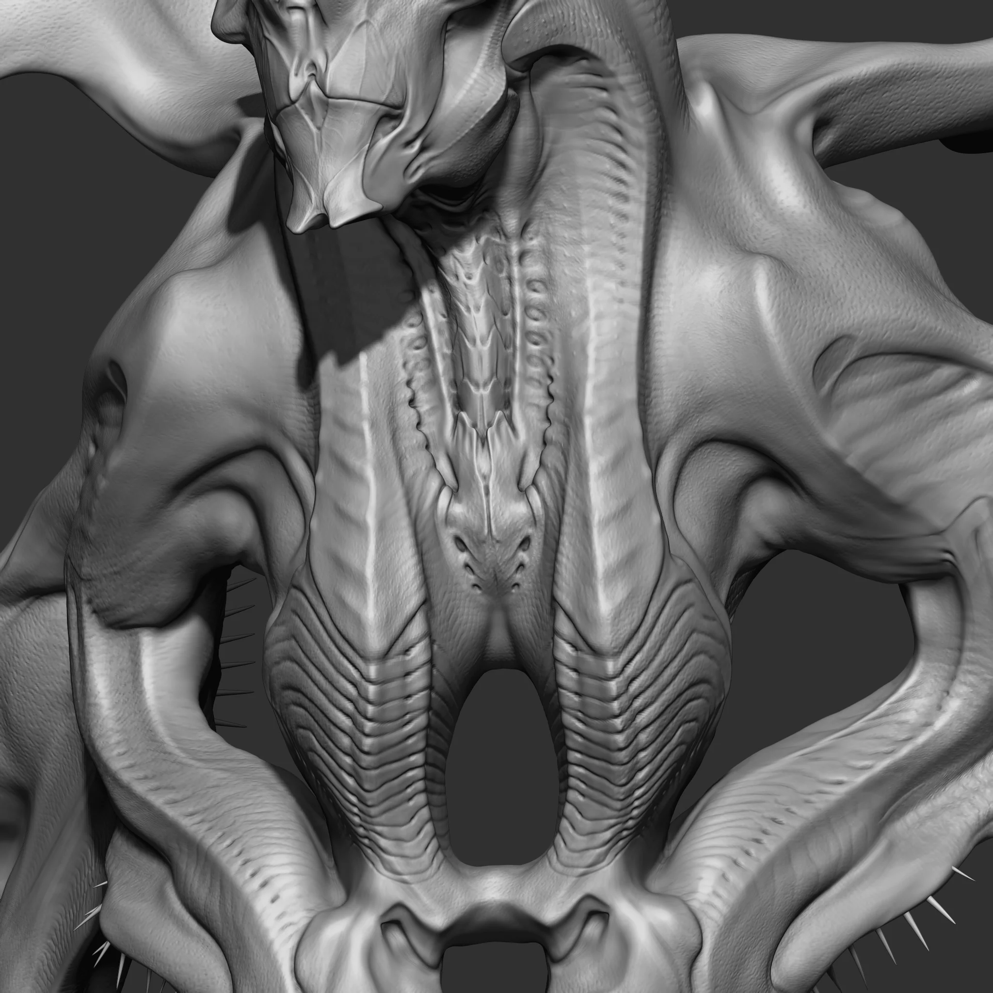 close_up_01.jpg